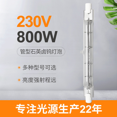 het Halogeenbol 118mm van 230V 800W R7s Lineaire het Halogeenlamp Met twee uiteinden van Dimmable