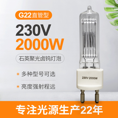 van het het Kwartshalogeen van 230v 2000w G22 de Bolbi Pin Halogen Lamp Explosion Proof