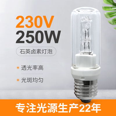 De Bolhalogeen E27 250w Dimmbar 230V Halolux van het 250 Wattskwarts