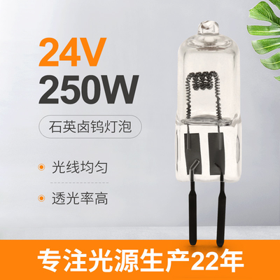 van de het Kwartsjodium van 24v 150w 250W van de Lamplumen van het het Wolframhalogeen Hoge Chirurgische de Projectorlamp