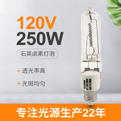 120V 250W kiezen de Bol van het Beëindigenhalogeen Jd E11 Mini Candelabra Instrument Lamp uit