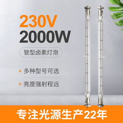 van het het Wolfram Lineaire Halogeen van 230V 2000W Lamp Commerciële 215mm Lood Met twee uiteinden