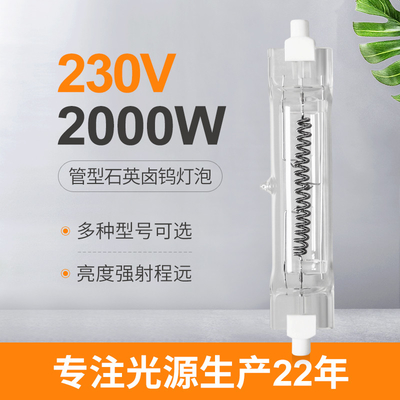 230V 2000 van het de Lamphalogeen van het Wattskwarts Lamp Met twee uiteinden van de de Gloeilampenr7s Hitte